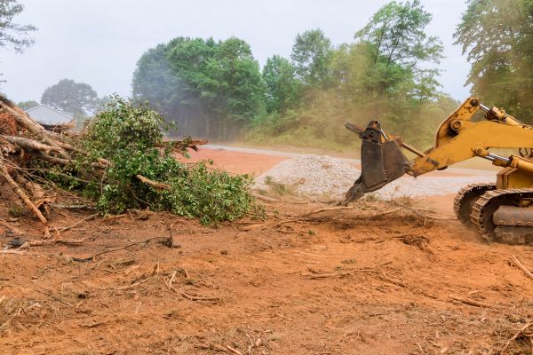 Cost of Ground Clearing in Springfield