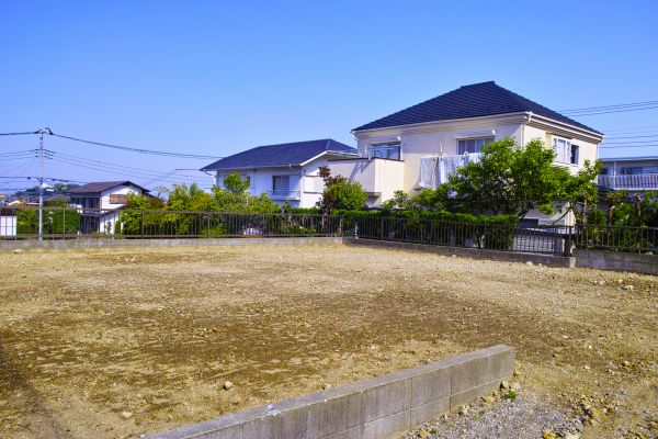 Cost of Lot Clearing Service in Springfield