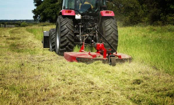 Cost of Brush Clearing Service in Springfield