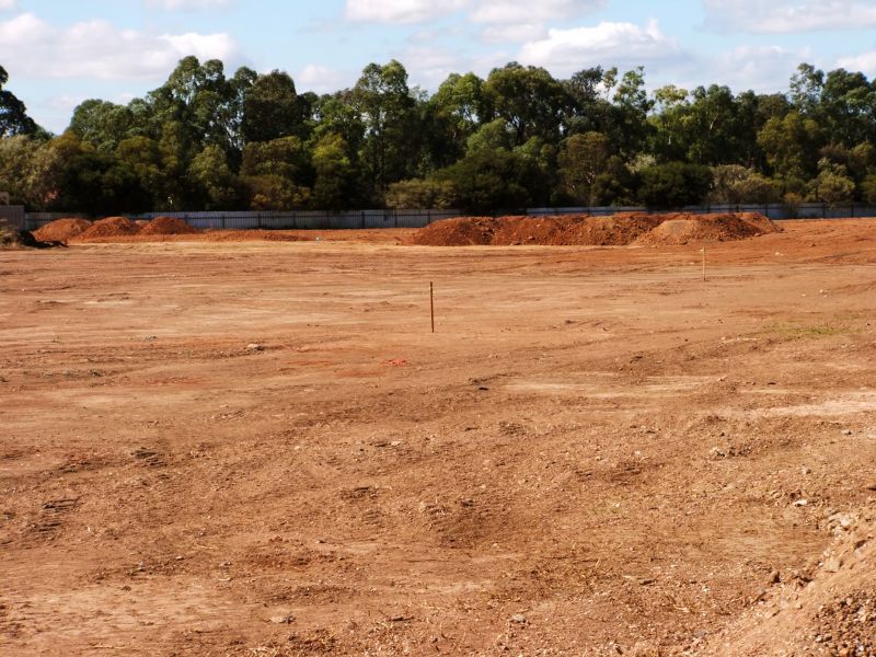 Site assessment in progress